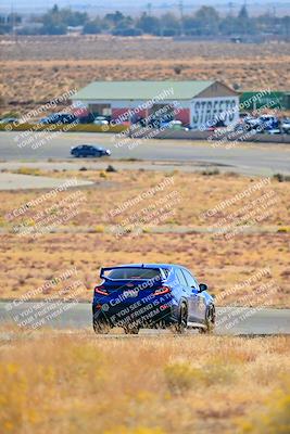 media/Nov-16-2024-Extreme Speed (Sat) [[6587d07cc4]]/Gold Group/Session 1 (Turn 2)/